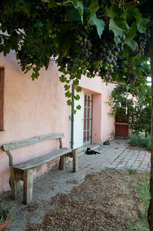 Hosteria Rural Viejo Roble San Rafael  Esterno foto